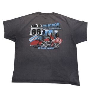 Vnt Beefy Harley-Davidson Chicago Illinois Graphic T-Shirt, XL | Gray Biker Tee